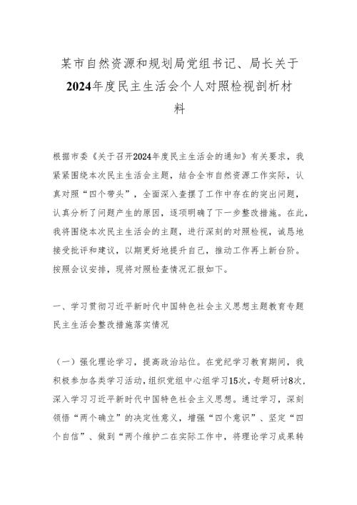 某市自然资源和规划局党组书记、局长关于2024年度民主生活会个人对照检视剖析材料.docx