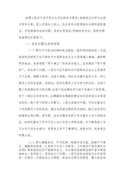 2024年度民主生活领导干部检查材料（四个带头+反面典型案例）范文两篇.docx