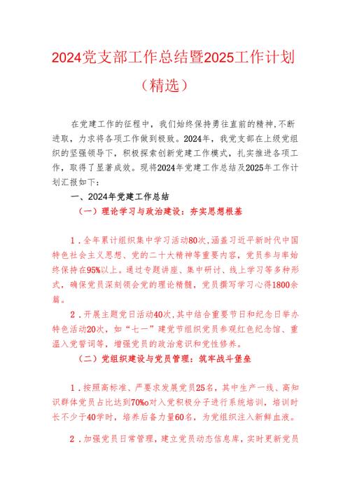 2024党支部工作总结暨2025工作计划（精选）.docx