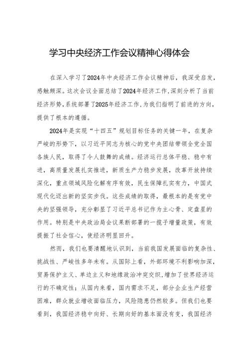 2024 年中央经济工作会议精神心得体会发言稿4篇.docx
