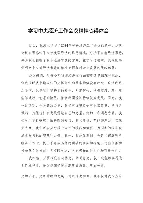 2024 年中央经济工作会议精神心得体会发言稿6篇.docx
