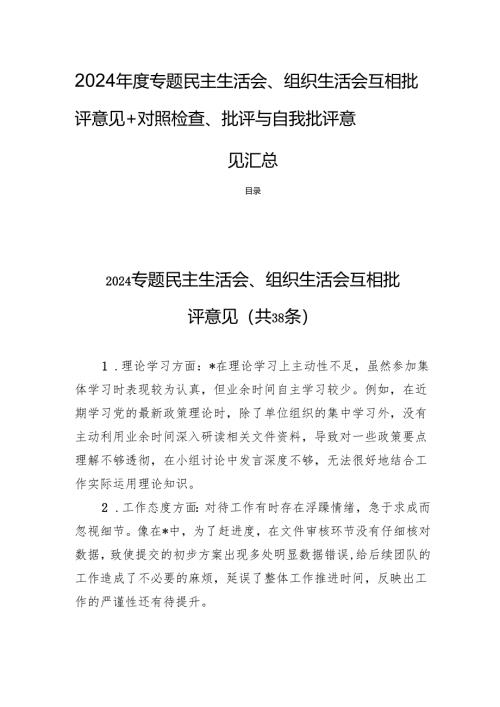 2024年度专题民主生活会、组织生活会互相批评意见+对照检查、批评与自我批评意见汇总.docx