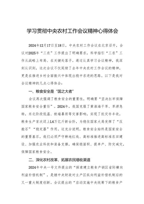 2024中央农村工作会议精神心得体会6篇.docx