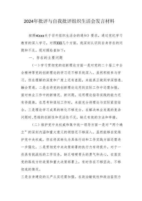 2024年国企党员干部《批评与自我批评组织生活会》发言材料 合计5份.docx