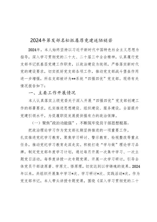 2024-2025年党支部书记抓基层党建述职报告.docx