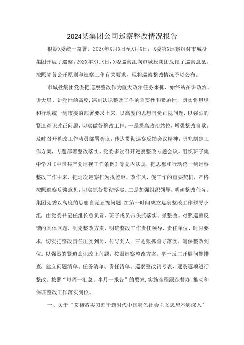 2024某集团公司巡察整改情况报告.docx