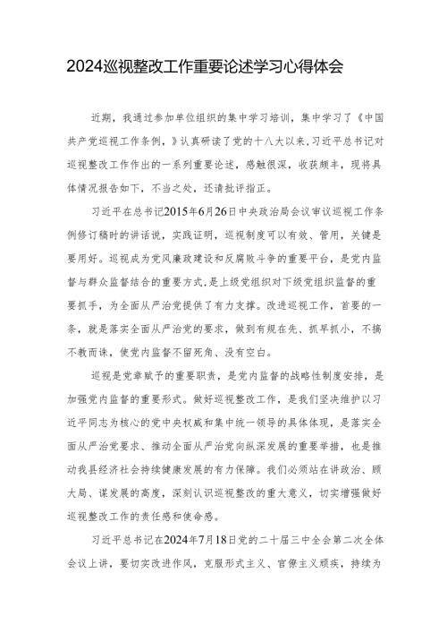 2024巡视整改工作重要论述学习心得体会.docx