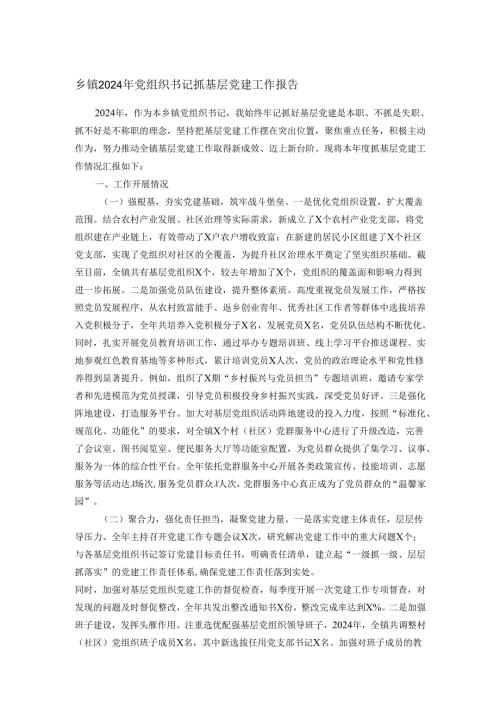 乡镇2024年党组织书记抓基层党建工作报告.docx