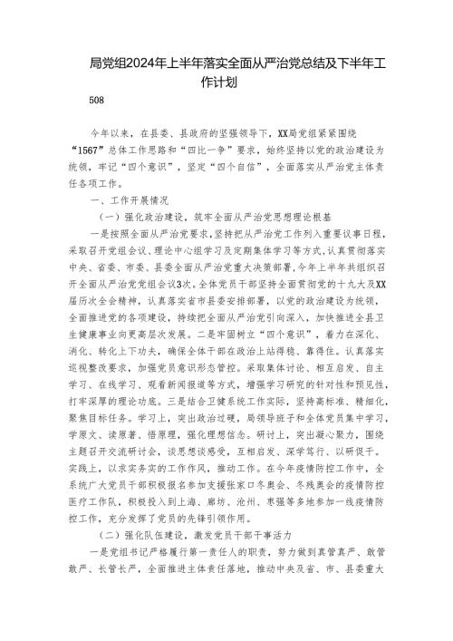 局党组2024年上半年落实全面从严治党总结及下半年工作计划.docx