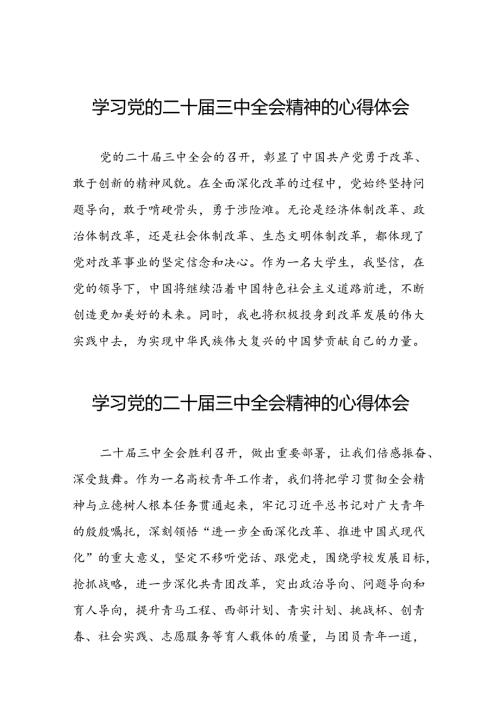 学习党的二十届三中全会精神心得体会发言材料36篇.docx
