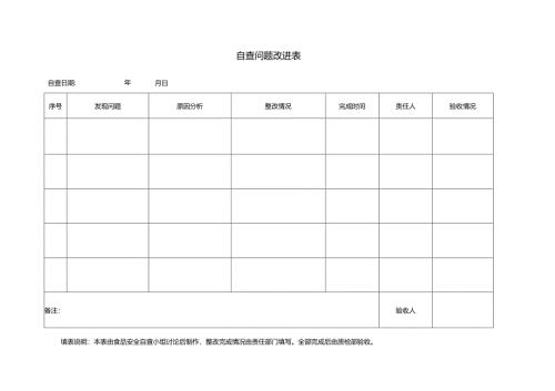自查问题改进表.docx