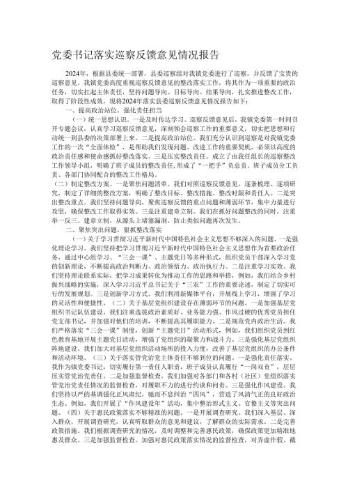 党委书记落实巡察反馈意见情况报告.docx
