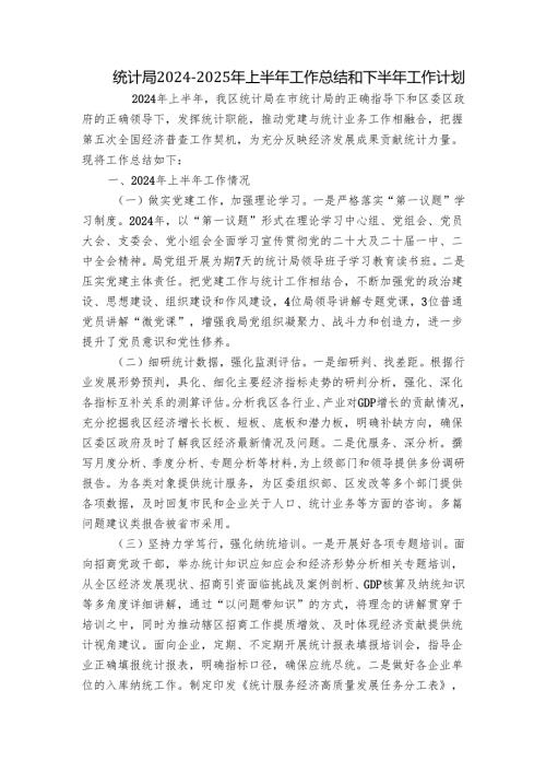 统计局2024-2025年上半年工作总结和下半年工作计划.docx