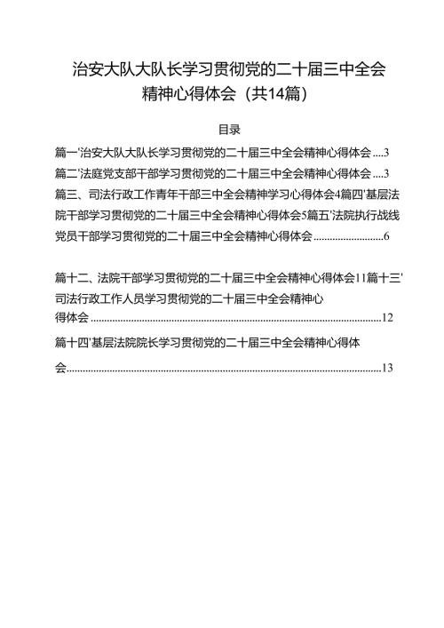 治安大队大队长学习贯彻党的二十届三中全会精神心得体会（共14篇）.docx
