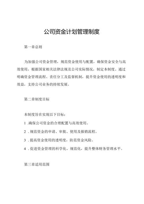 公司资金计划管理制度.docx