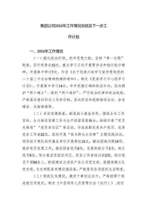 集团公司2024年工作情况总结及下一步工作计划.docx