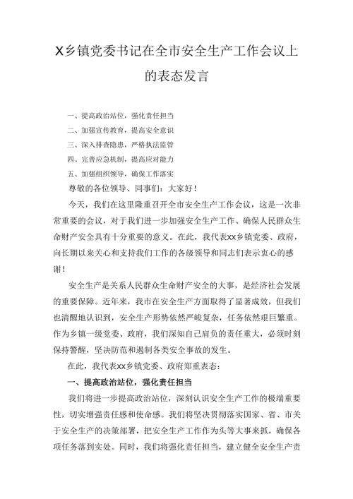 X乡镇党委书记在全市安全生产工作会议上的表态发言.docx