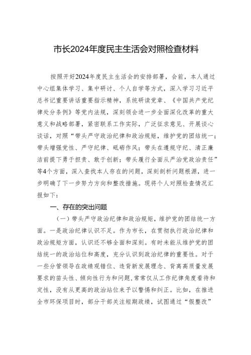市长2024年度民主生活会对照检查材料-2.docx
