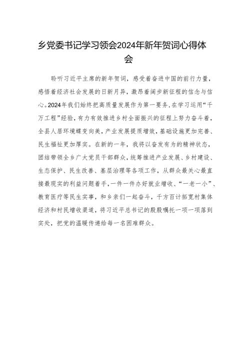 乡党委书记学习领会2024年新年贺词心得体会.docx