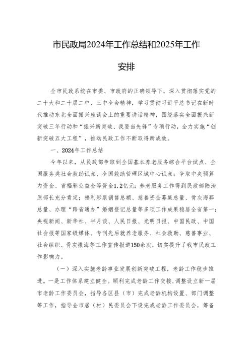 市民政局2024年工作总结和2025年工作安排.docx