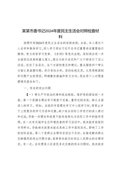 某某市委书记2024年度民主生活会对照检查材料.docx