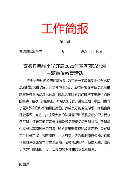 喜德县民族小学开展2023春季预防流感主题宣传教育活动简报.docx