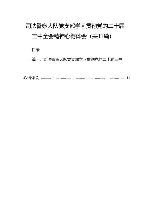（11篇）司法警察大队党支部学习贯彻党的二十届三中全会精神心得体会范文.docx
