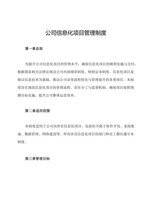 公司信息化项目管理制度.docx