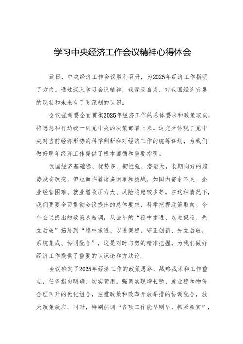 七篇学习贯彻2024年中央经济工作会议心得体会发言稿.docx