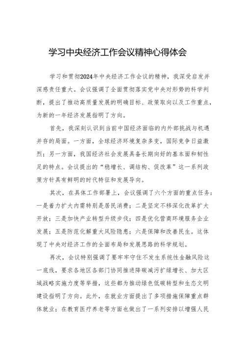 五篇学习贯彻2024年中央经济工作会议精神交流发言.docx