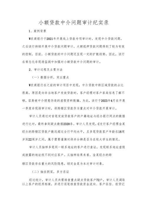小额贷款中介问题审计纪实录.docx