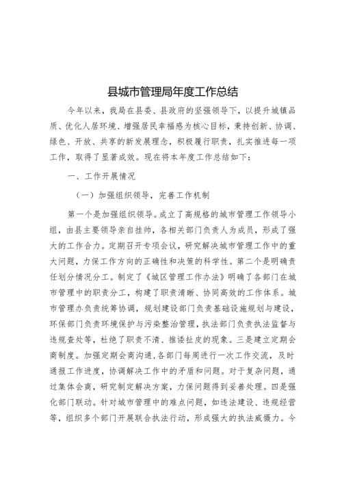 县城市管理局年度工作总结.docx