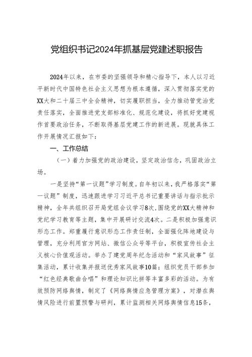 党组织书记2024年抓基层党建述职报告.docx