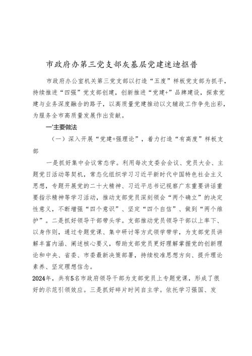 市政府办第三党支部抓基层党建述职报告2024-2025.docx