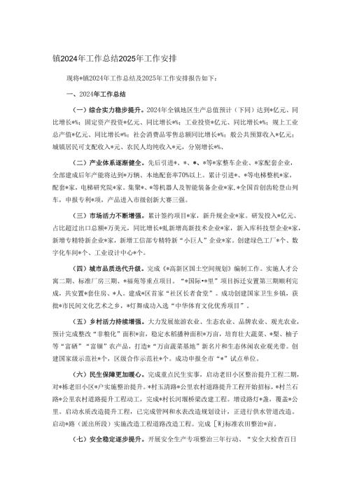 镇2024年工作总结2025年工作安排.docx