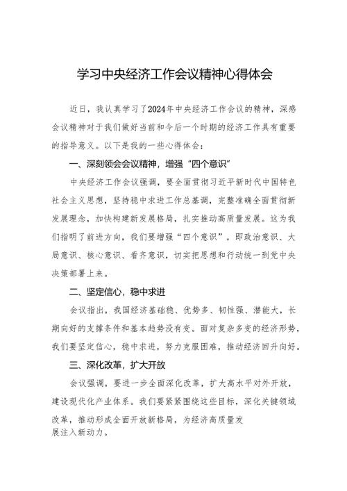 银行行长学习贯彻2024年中央经济工作会议精神的心得体会四篇.docx