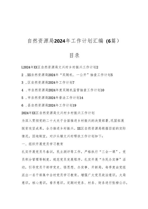 （6篇）自然资源局2024年工作计划汇编.docx