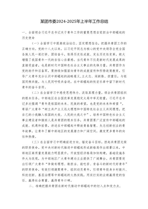 某团市委2024-2025年上半年工作总结.docx