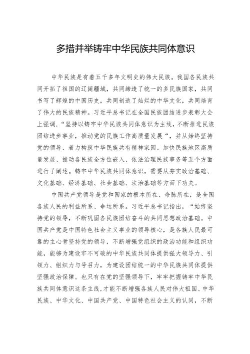 多措并举铸牢中华民族共同体意识.docx