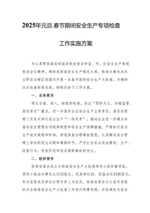 2025年国企开展《元旦、春节期间安全生产专项检查》工作方案 （4份）_77.docx
