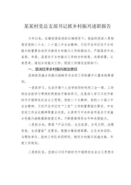 某某村党总支部书记抓乡村振兴述职报告.docx