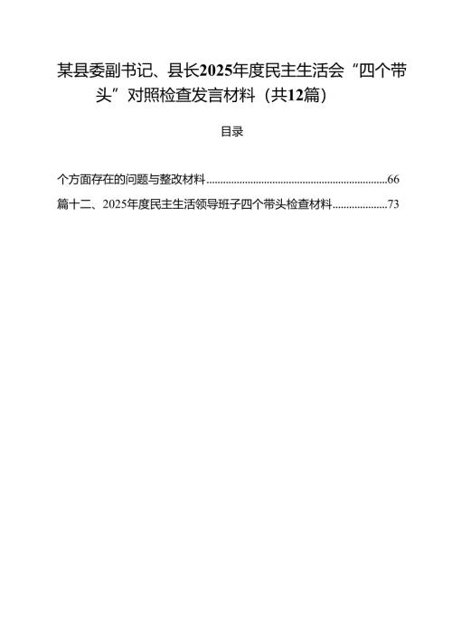 某县委副书记、县长2025年度民主生活会“四个带头”对照检查发言材料（共12篇）.docx