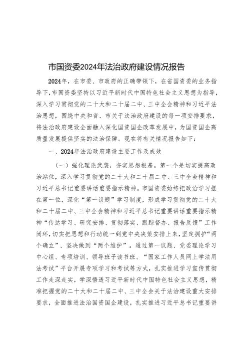 市国资委2024年法治政府建设情况报告.docx