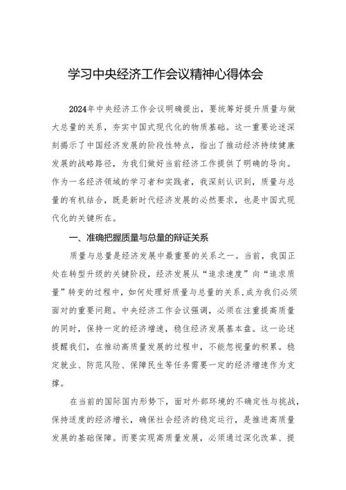 三篇学习贯彻中央经济工作会议精神心得体会2025年.docx