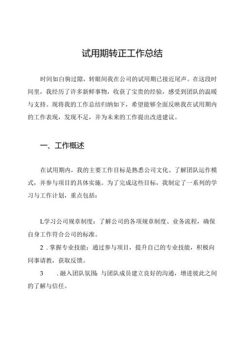 试用期转正工作总结.docx