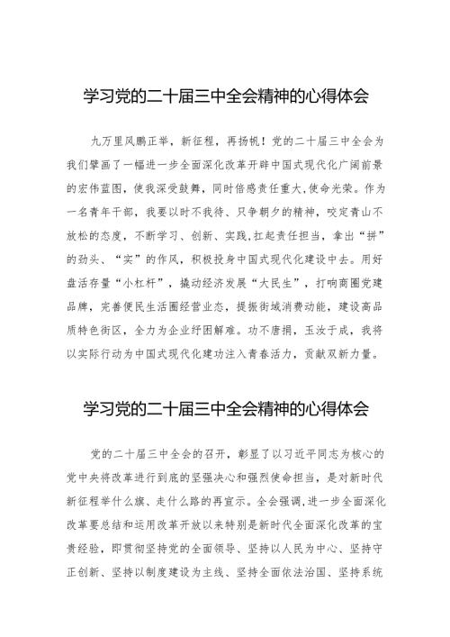 关于2024年党的二十届三中全会精神的学习体会交流发言36篇.docx