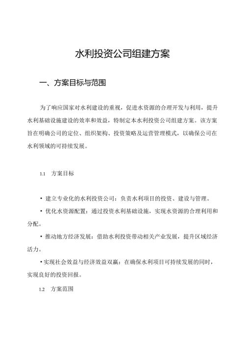 水利投资公司组建方案.docx