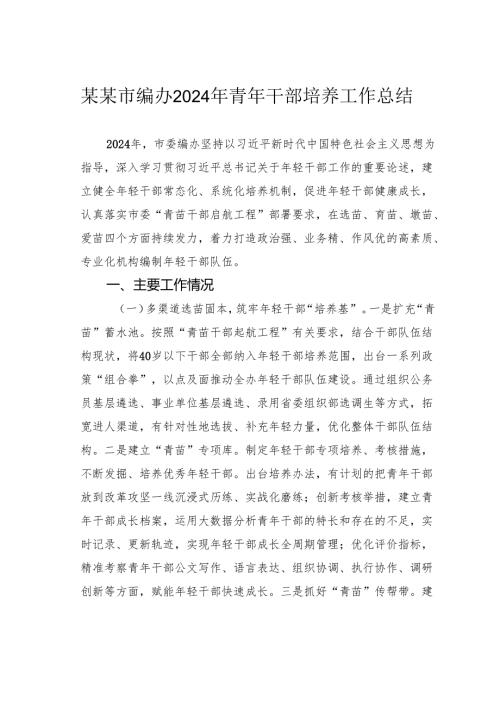 某某市编办2024年青年干部培养工作总结.docx