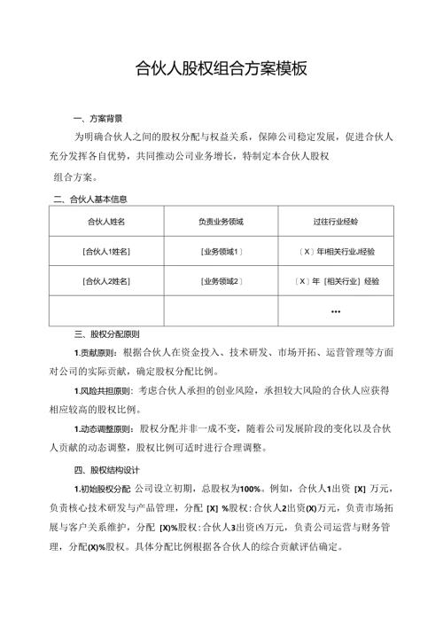 合伙人股权组合方案模板.docx
