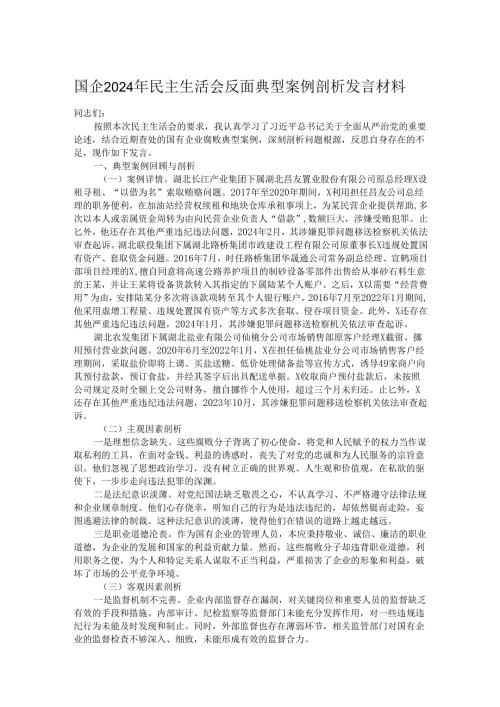国企2024年民主生活会反面典型案例剖析发言材料.docx